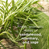Close-up of green rosemary and sage leaves. Text describes the Andalou Argan Stem Cell haircare scent as fresh aromatic notes of sandalwood, rosemary and sage.