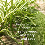 Close-up of green rosemary and sage leaves. Text describes the Andalou Argan Stem Cell haircare scent as fresh aromatic notes of sandalwood, rosemary and sage.