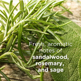 Close-up of green rosemary and sage leaves. Text describes the Andalou Argan Stem Cell haircare scent as fresh aromatic notes of sandalwood, rosemary and sage.