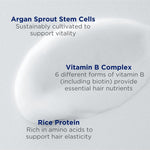A white cream smear behind three Andalou Argan Stem Cell ingredient callouts: sustainably cultivated argan sprout stem cells for vitality; six forms of vitamin B, including biotin, for hair nutrients; and amino-acid-rich rice protein for hair elasticity.