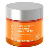 Andalou Purple Carrot and Vitamin C Luminous Night Cream 50g front product image on white background