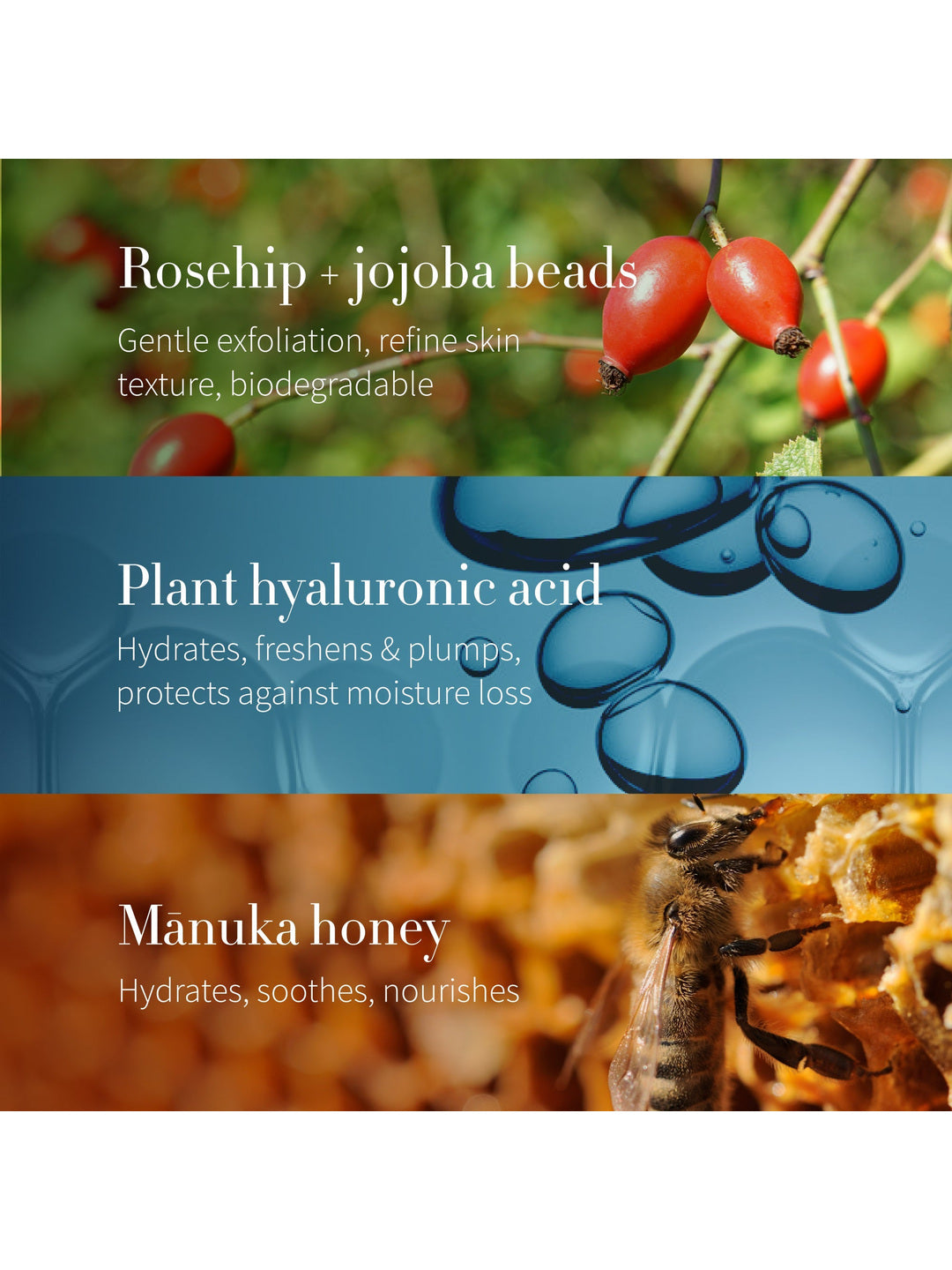 Antipodes Purity key ingredients: rosehip and jojoba beads, plant hyaluronic acid and manuka honey