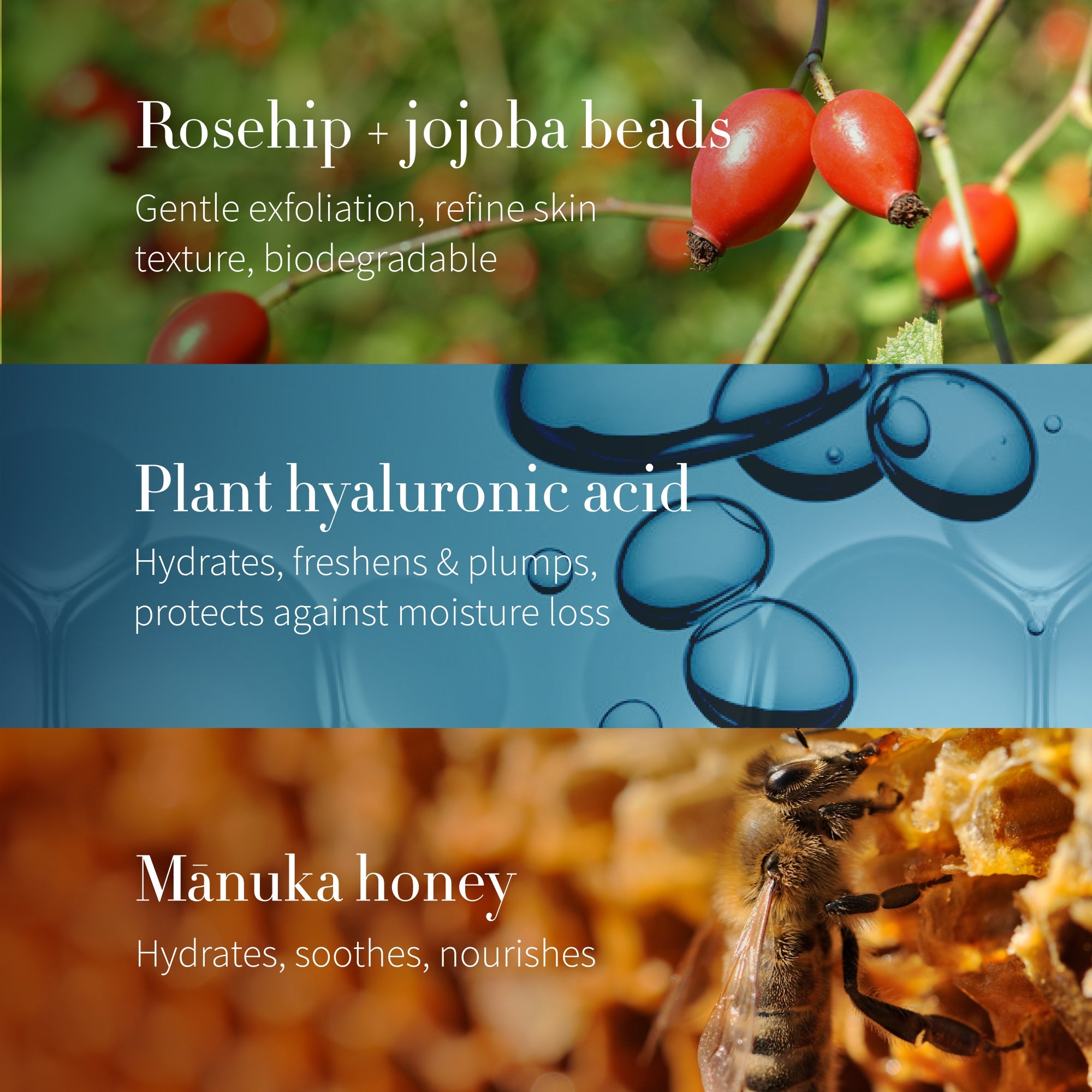 Antipodes Purity key ingredients: rosehip and jojoba beads, plant hyaluronic acid and manuka honey