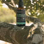 An amber Axilla deodorant spray bottle stands upright on a thick tree branch, surrounded by leaves and dappled sunlight.