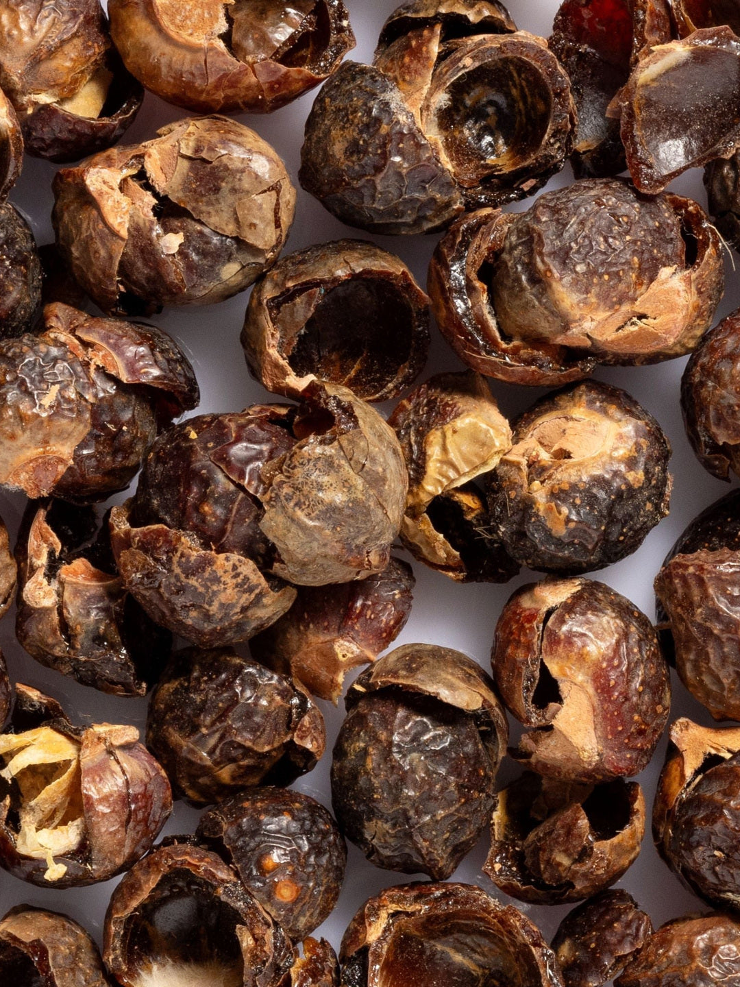 Close-up of brown soapberry shells with dark shiny interiors, the botanical ingredient featured in Biologi Bc Refresh Cleanser.