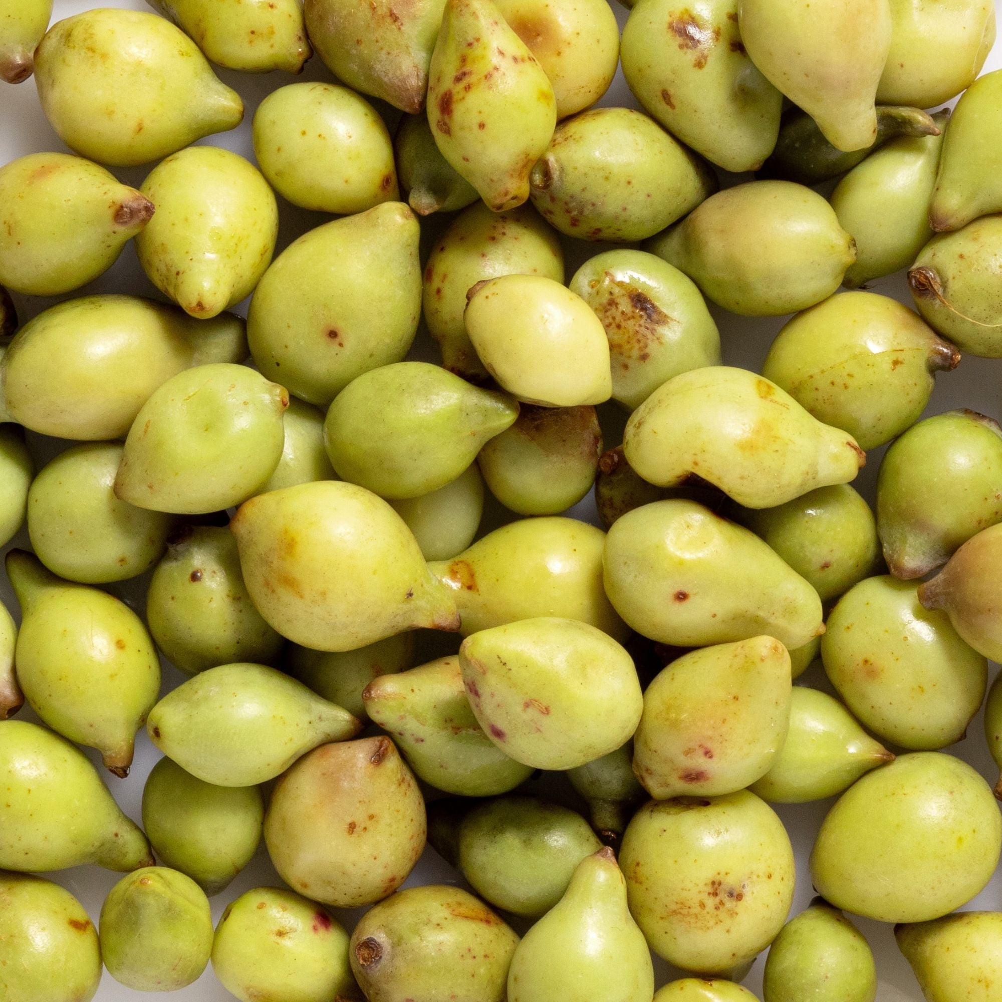 Close-up of green and yellow Kakadu plums, the botanical source featured in Biologi Bk Vitamin C Face & Eye Serum.