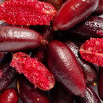 Close-up of dark red finger limes cut open to reveal their pink-red citrus pearls, the botanical ingredient image for Biologi Bl Nourish Lip Serum.