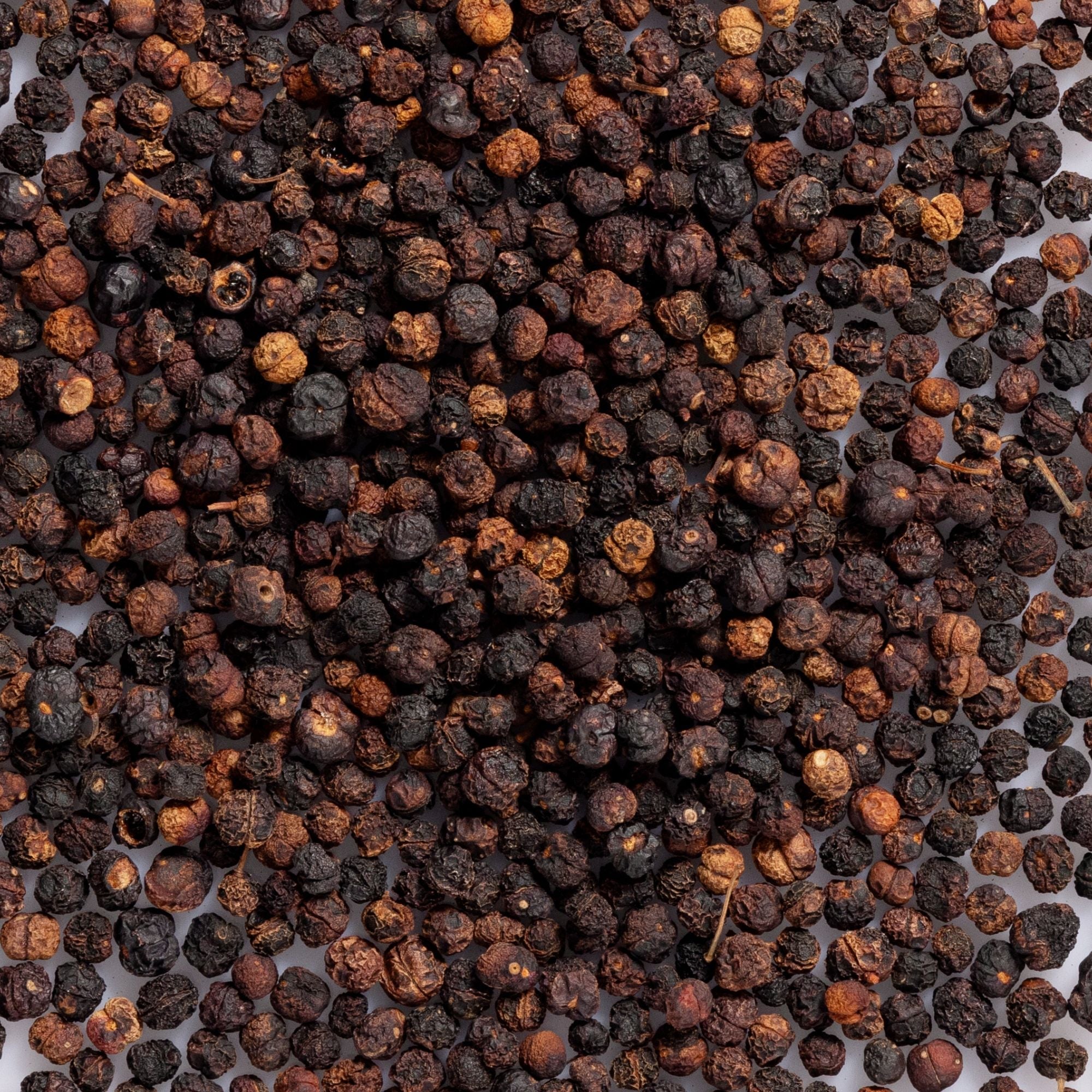 Close-up of dark brown and black mountain pepper berries, the botanical ingredient featured in Biologi Bm Regenerate Anti-Ageing Serum.