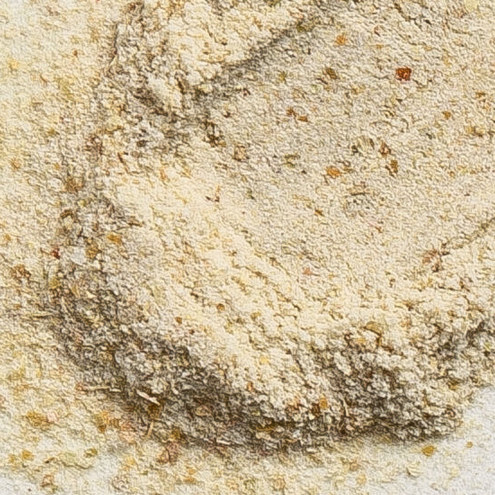 Close-up of the pale yellow finely milled powder in Biologi Bx Reveal Exfoliant, with small grains and soft ridges visible.
