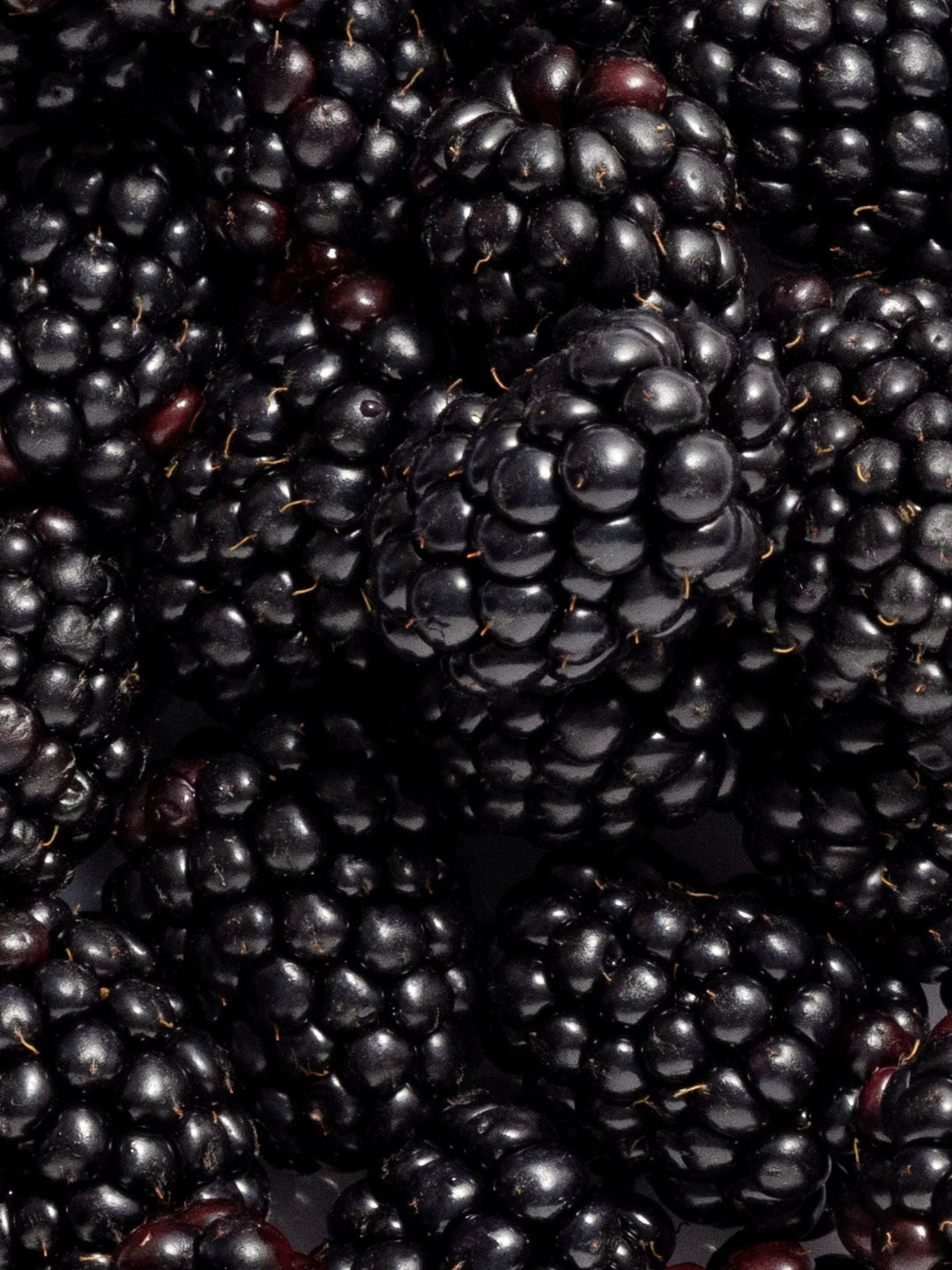 Close-up of ripe glossy blackberries, the botanical ingredient image for Biologi By Blackberry Seed Oil.