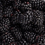 Close-up of ripe glossy blackberries, the botanical ingredient image for Biologi By Blackberry Seed Oil.