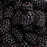 Close-up of ripe glossy blackberries, the botanical ingredient image for Biologi By Blackberry Seed Oil.