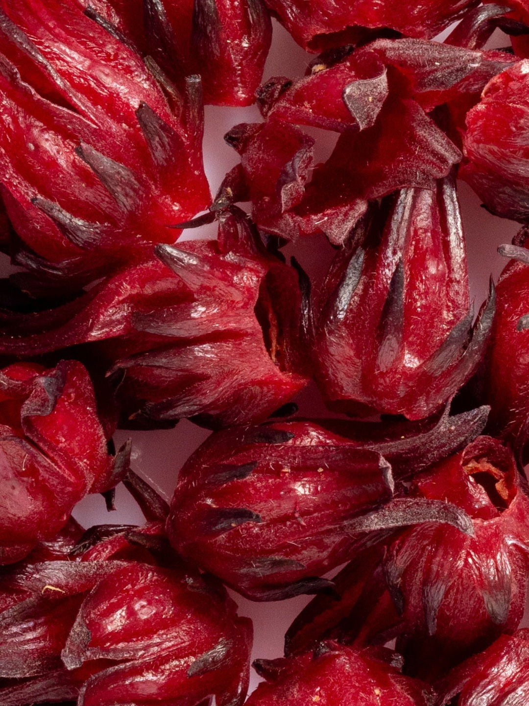 Close-up of deep red hibiscus petals and calyces, the botanical ingredient featured in Biologi Hydra Boost Bio Cellulose Sheet Mask.