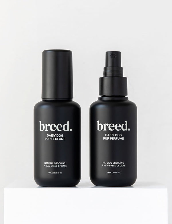 Two black Breed Daisy Dog Pup Perfume bottles displayed upright on a white plinth.