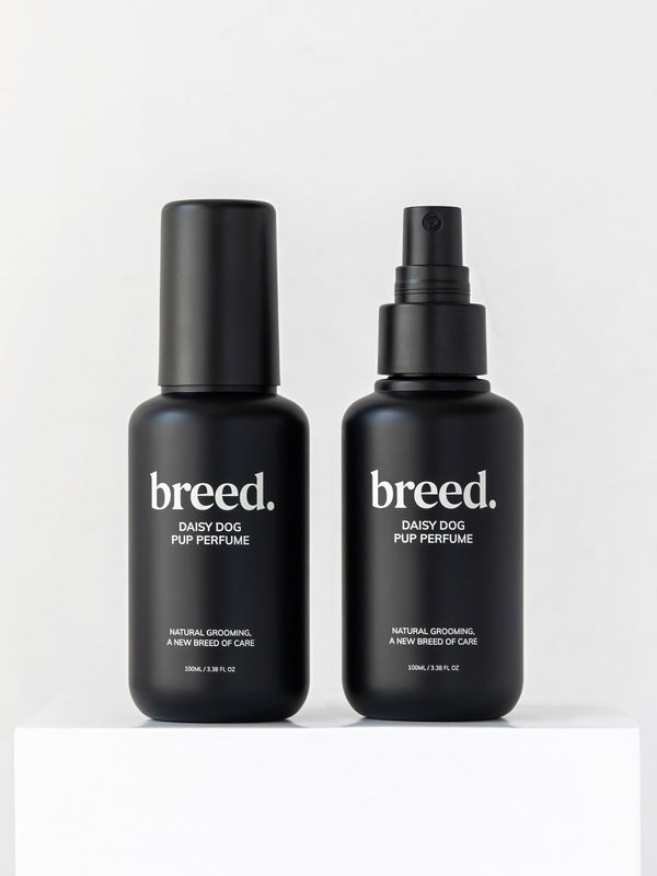 Two black Breed Daisy Dog Pup Perfume bottles displayed upright on a white plinth.