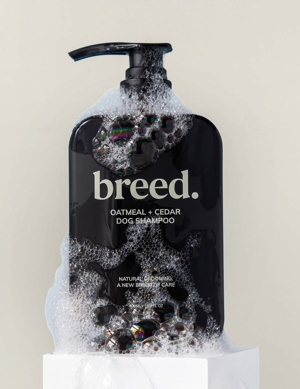 Breed Oatmeal & Cedar Dog Shampoo pump bottle covered with rich white foam.