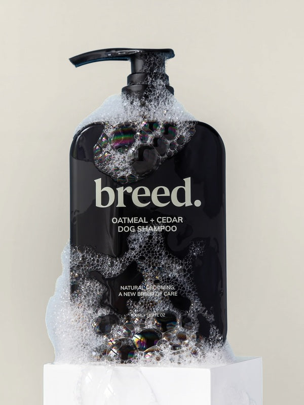 Breed Oatmeal & Cedar Dog Shampoo pump bottle covered with rich white foam.