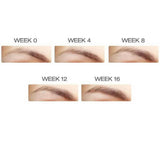 Brow Food Phyto-Medic Eyebrow Enhancer