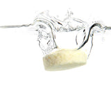 Ere Perez Ginkgo Micellar Cleanser tablet splashing into water on a white background