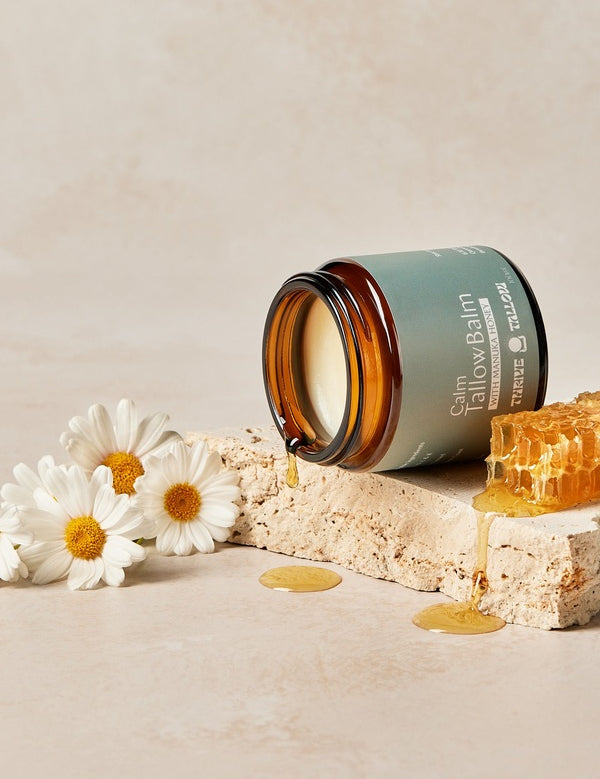 Calm Tallow Balm styled with chamomile flowers and honey – Thrive Tallow Calm Tallow Balm 100ml