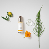 Dr Hauschka Balancing Day Lotion