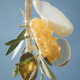 Egyptian Magic natural ingredient story with olive oil and honey