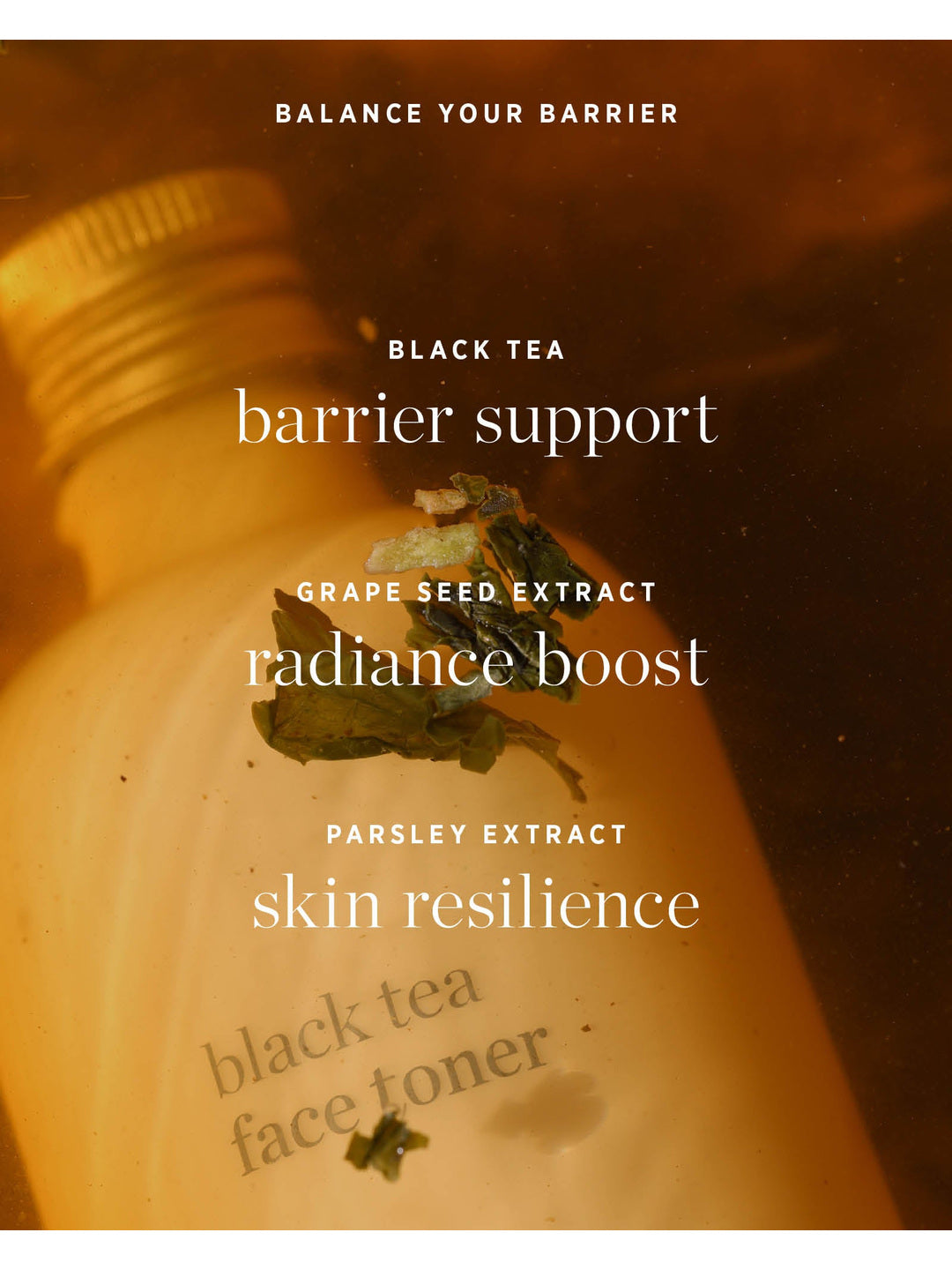 Ere Perez Black Tea Face Toner ingredient graphic over amber tea and botanicals, highlighting black tea for barrier support, grape seed extract for radiance and parsley extract for skin resilience.