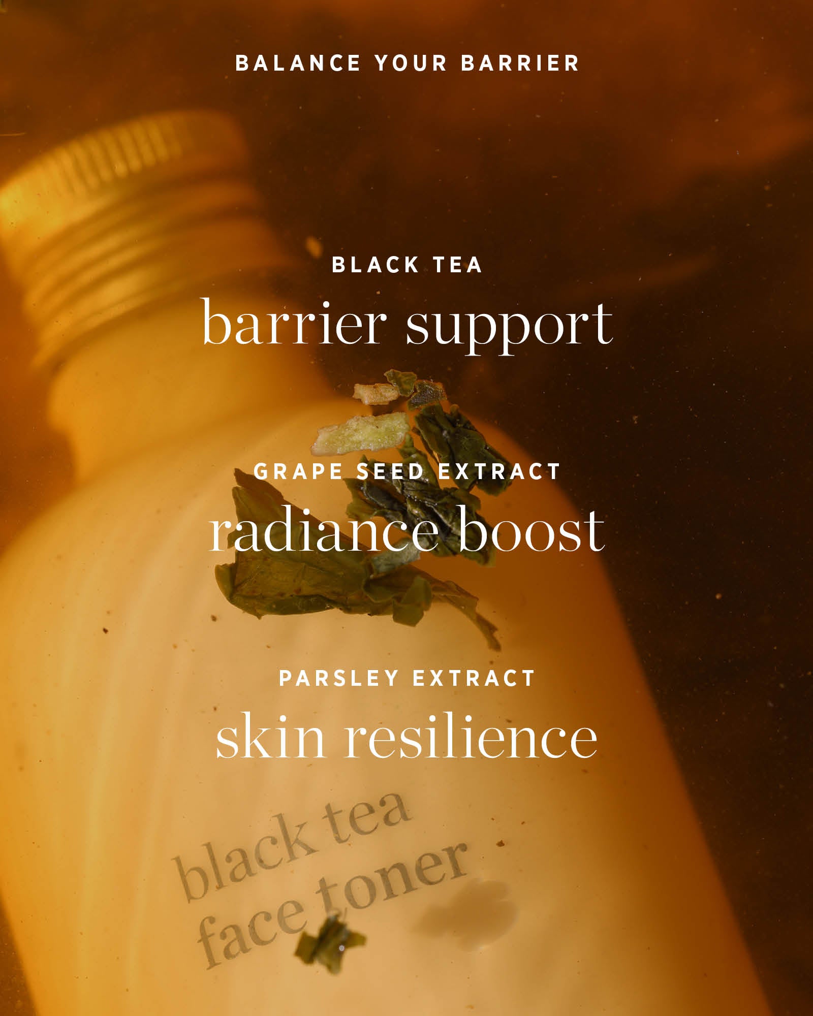 Ere Perez Black Tea Face Toner ingredient graphic over amber tea and botanicals, highlighting black tea for barrier support, grape seed extract for radiance and parsley extract for skin resilience.
