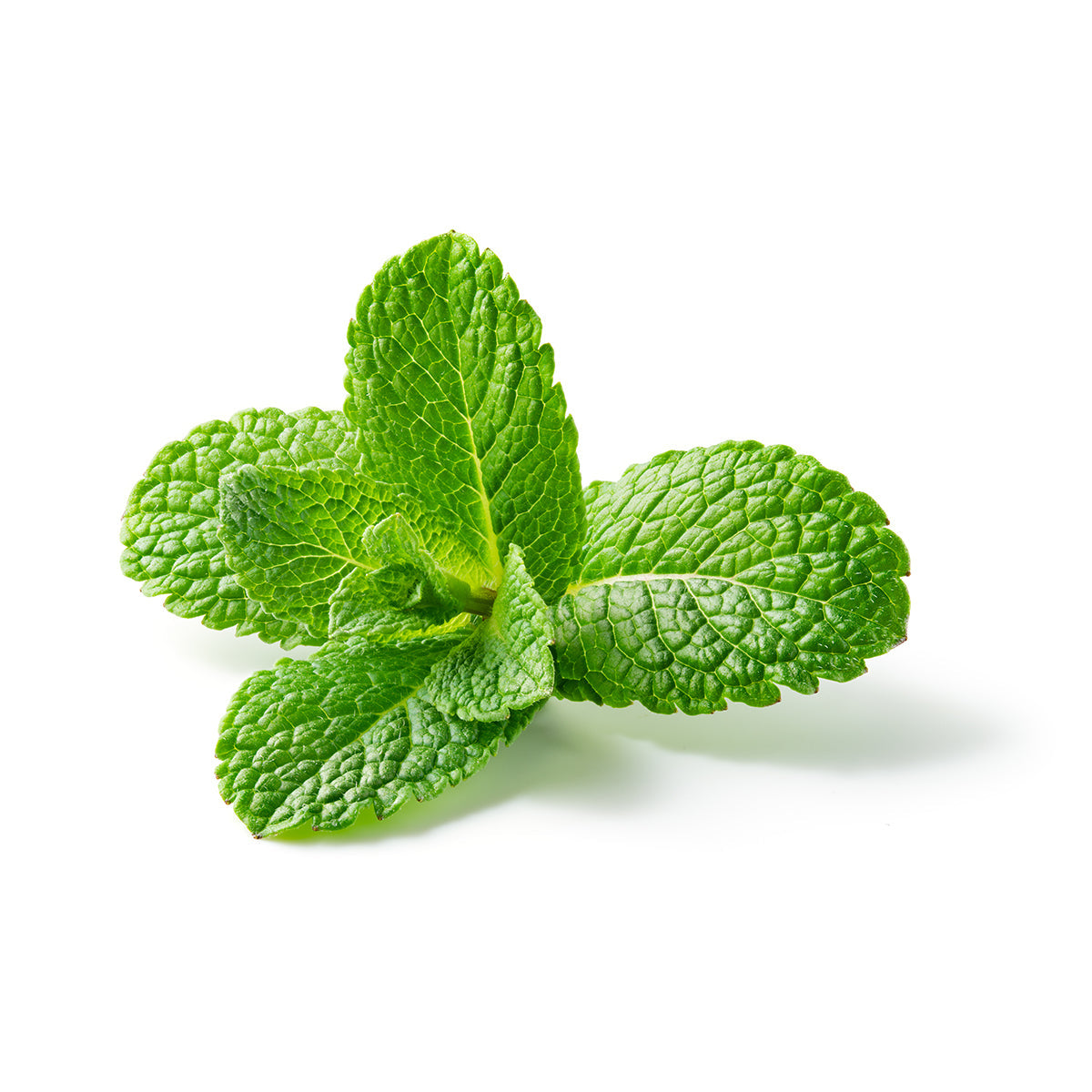 Essential Oxygen Toothpaste Peppermint 113g