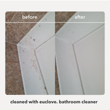 Euclove Bathroom and Mould Cleaner before and after