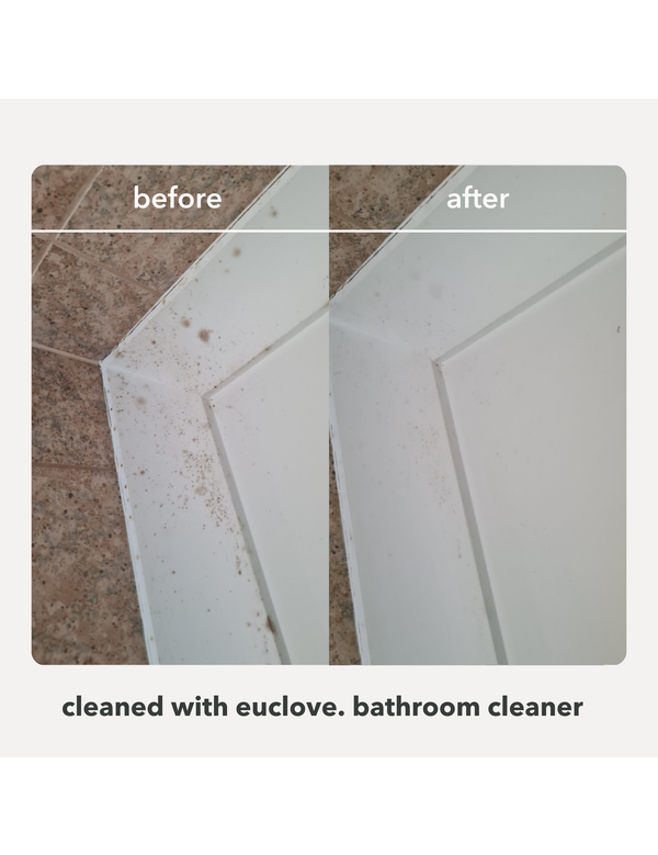 Euclove Bathroom and Mould Cleaner before and after