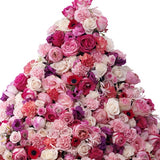 Pink and red roses from the official Fresca Valley Rose product page