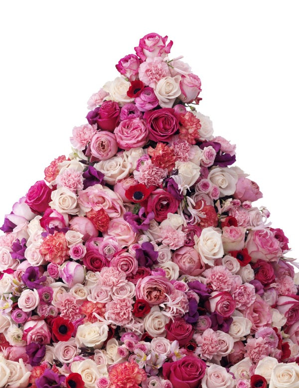 Pink and red roses from the official Fresca Valley Rose product page
