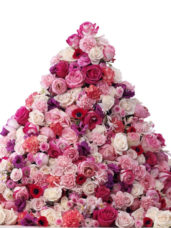 Pink and red roses from the official Fresca Valley Rose product page