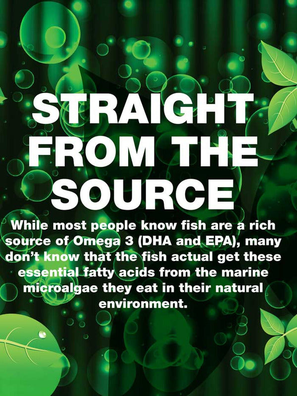 Green Nutritionals Vegan Omega3 90 Caps: Fish get vegan omega 3 (DHA & EPA) from marine microalgae—not other fish. Straight from the source—no fish needed. Green abstract background with bubbles and leaves.