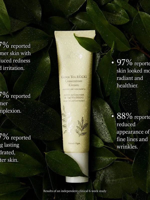 100% Pure Green Tea EGCG Concentrate Cream 40ml — official product benefits image