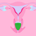 Illustration showing a Hello Period low cervix cup in position