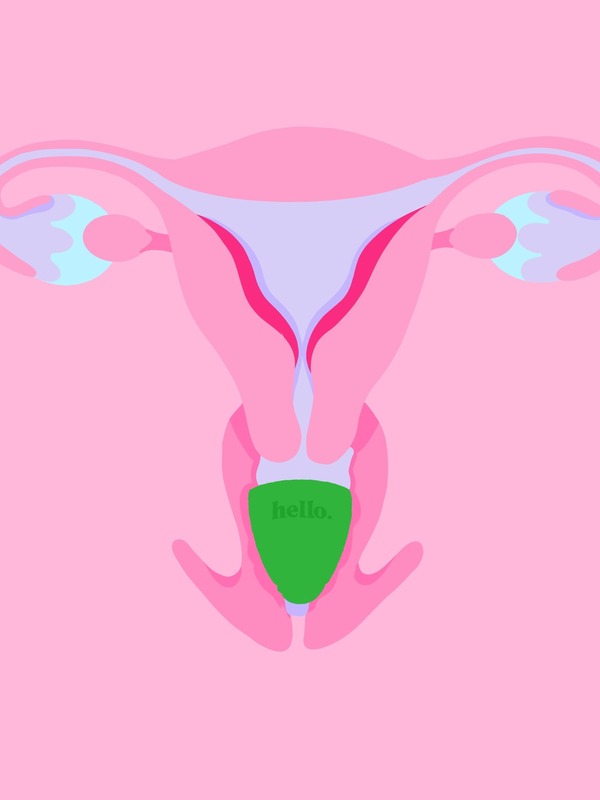 Illustration showing a Hello Period low cervix cup in position