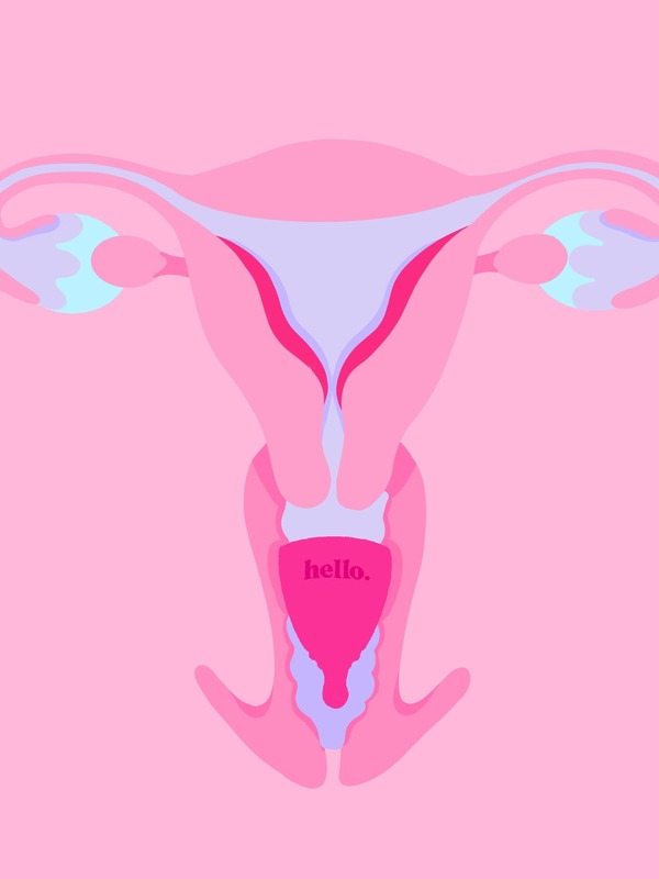 Illustration showing how a Hello Period menstrual cup sits in the body