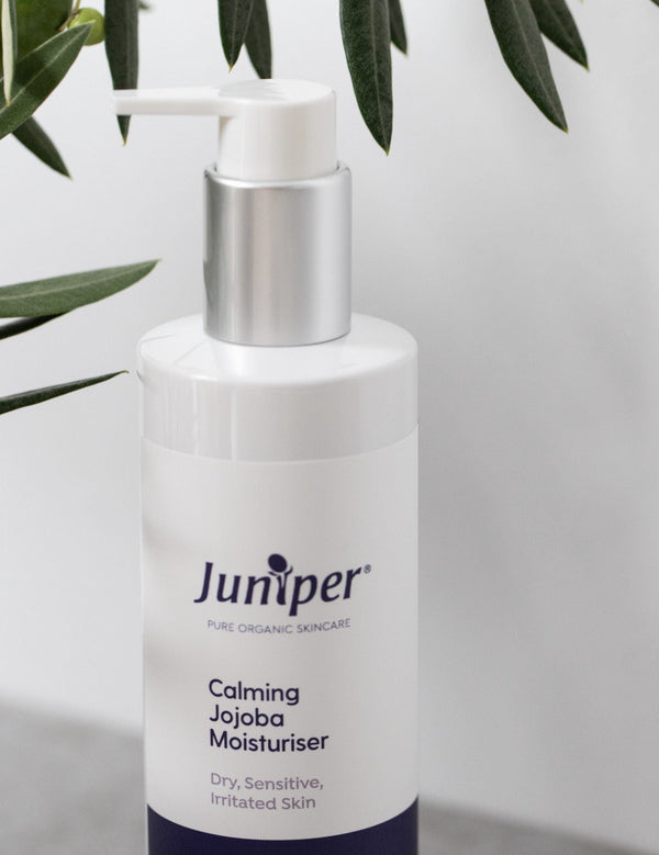 White Juniper Calming Jojoba Moisturiser pump bottle displayed on a light stone ledge beneath green olive leaves.