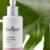 Juniper Calming Rose-Otto Mist bottle styled in front of glossy green leaves.