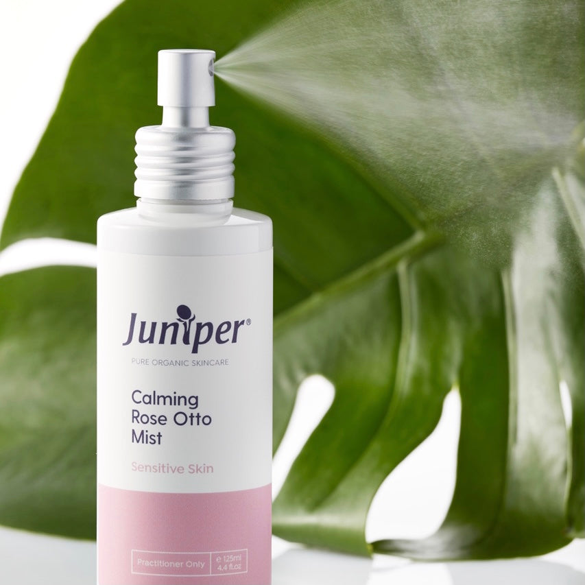 Juniper Calming Rose Otto Mist spraying across green leaves