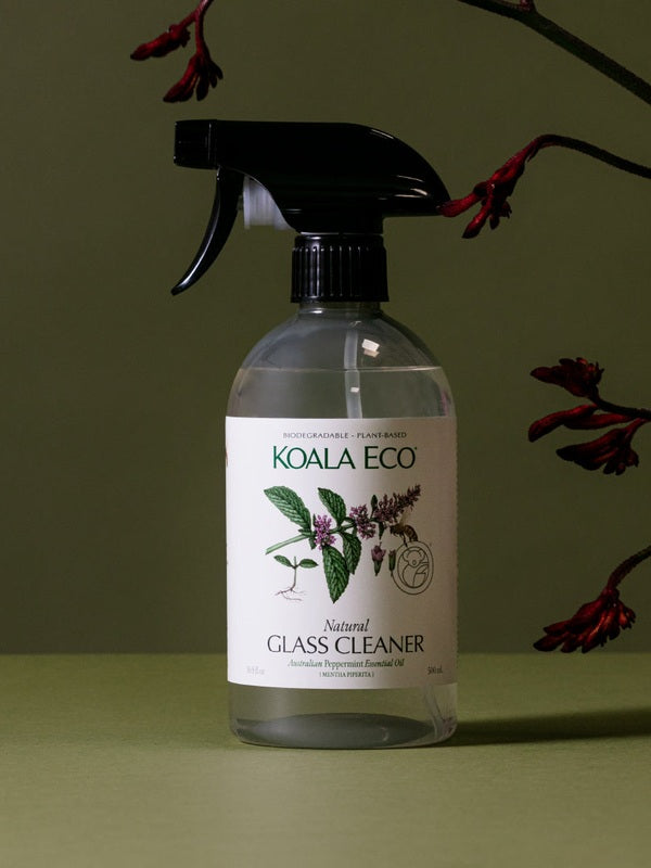 Koala Eco Peppermint Glass Cleaner styled with native flowers on a deep green background