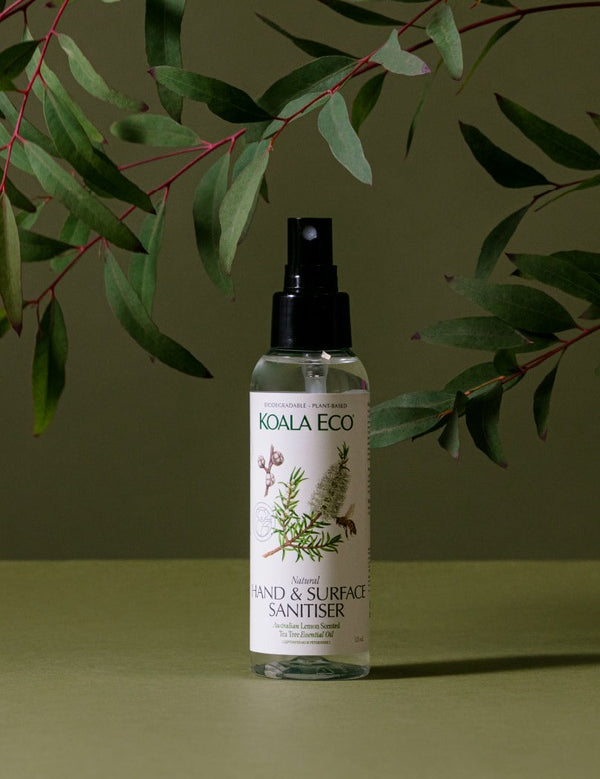 Koala Eco Lemon Scented Tea Tree Hand and Surface Spray styled beneath eucalyptus branches