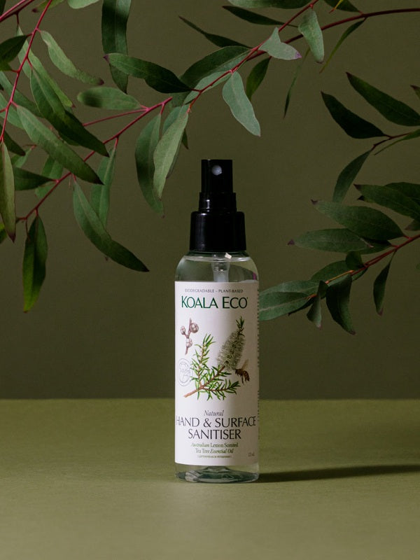 Koala Eco Lemon Scented Tea Tree Hand and Surface Spray styled beneath eucalyptus branches