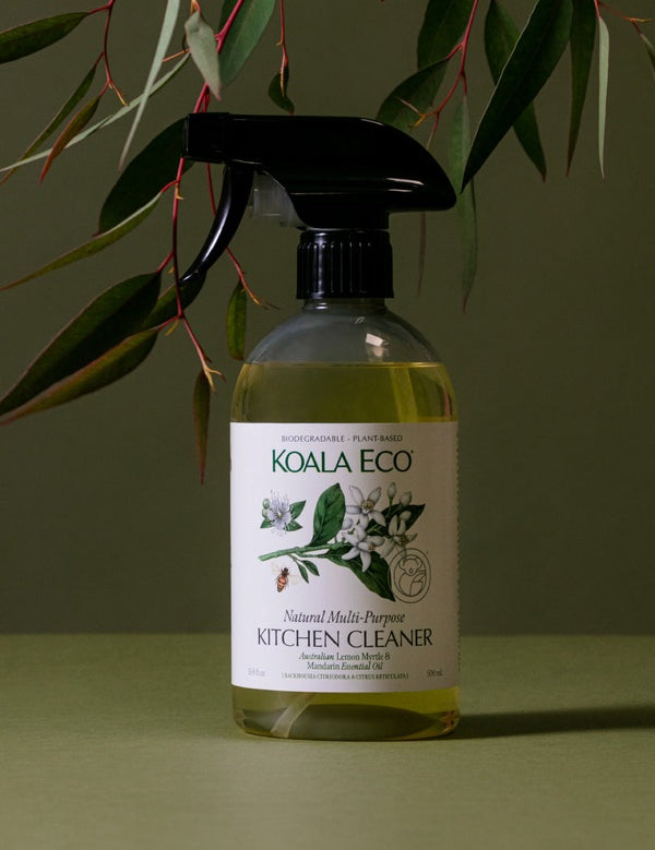 Koala Eco Multi-Purpose Kitchen Cleaner styled with Australian botanical branches on a deep green background