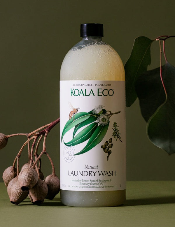 Koala Eco Eucalyptus and Rosemary Laundry Wash styled with native gumnuts and eucalyptus leaves