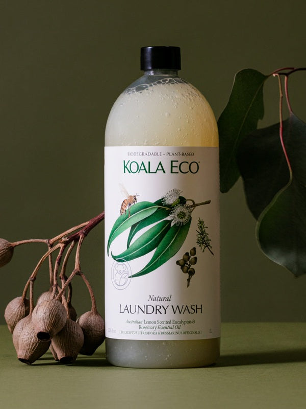 Koala Eco Eucalyptus and Rosemary Laundry Wash styled with native gumnuts and eucalyptus leaves