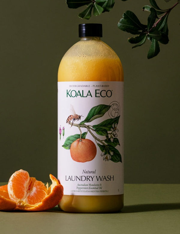 Koala Eco Mandarin and Peppermint Laundry Wash styled with fresh mandarin fruit