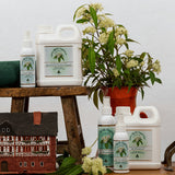 Lemon Myrtle Fragrances Air Freshener in the brand's home-care collection